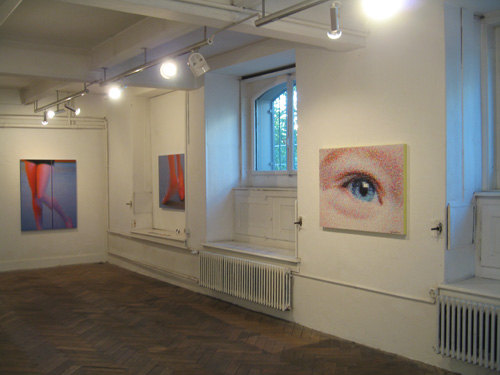 Ausstellung im Untergeschoss an der Vernissage in der Galerie Claudine Hohl. 2007