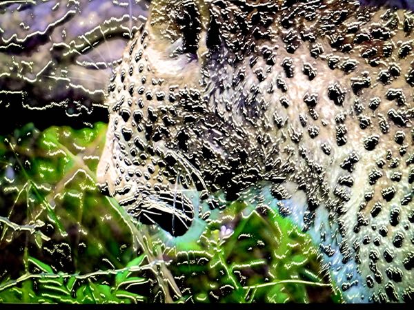 leopard II